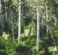 Lind National Park - Attractions Perth