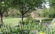 Ivy Hill Gallery - thumb 3