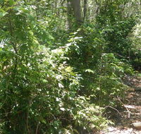 Bridle trail - Attractions Perth
