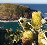 Green Island walking track - Attractions Perth