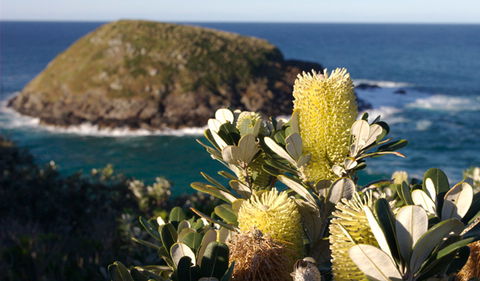 Green Island Walking Track - Attractions Perth 0
