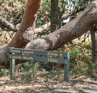 Middle Lagoon walking track - Attractions Perth