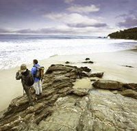 Wilderness Coast Walk - Attractions Perth