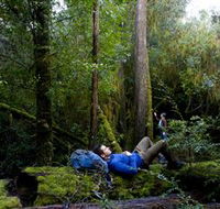 The Tarkine Drive - Attractions Perth