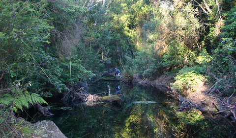 Nadgee Nature Reserve - Attractions Perth 2