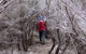 Nadgee Nature Reserve - thumb 3