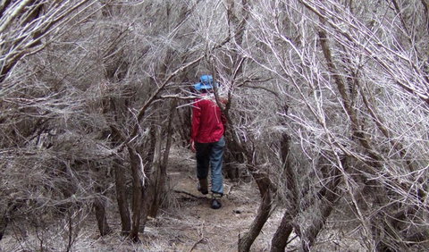 Nadgee Nature Reserve - Attractions Perth 3