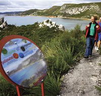 Rocky Cape National Park - Attractions Perth