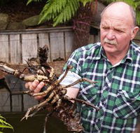 Lobster Ponds - Attractions Perth