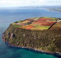 Table Cape - Attractions Perth