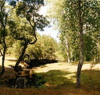 Oldina Picnic Area - Attractions Perth