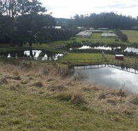 Guide Falls Farm - Attractions Perth
