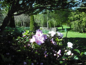 Annsleigh Gardens And Cafe - Attractions Perth 3