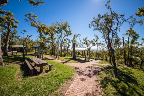 Rockhampton To Carnarvon Gorge Four Night Drive - Attractions Perth 2