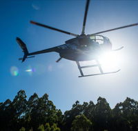 Tall Timbers Adventure Tours - Attractions Perth