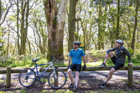 Fit Tours - Attractions Perth 9