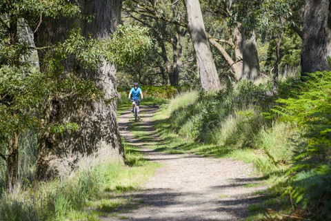 Fit Tours - Attractions Perth 16