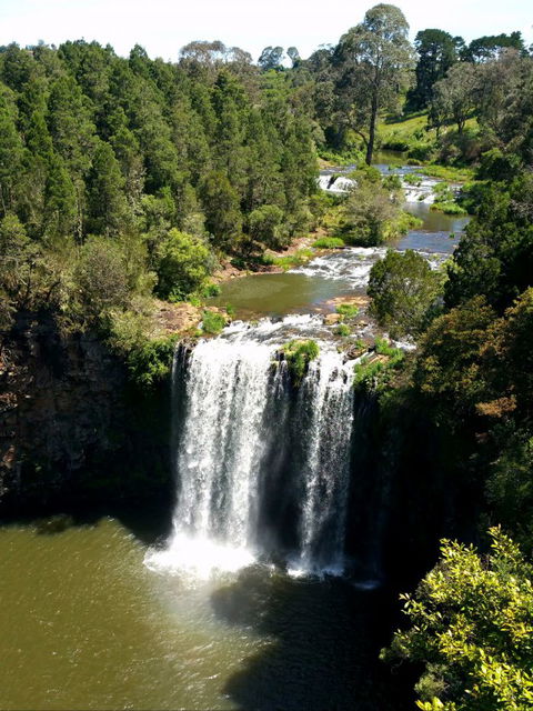 A1 Coffs Coast Tours - Attractions Perth 4