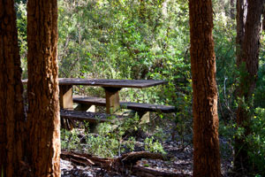 Karrak Reach Forest Retreat - Attractions Perth 1