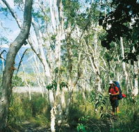 Thorsborne Trail Hinchinbrook Island National Park - Attractions Perth