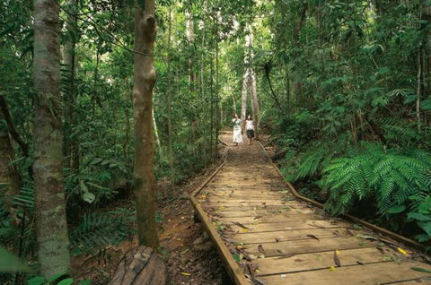 Lake Barrine Circuit Track, Crater Lakes National Park - Attractions Perth 0