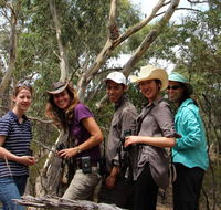 Echidna Walkabout Nature Tours - Attractions Perth