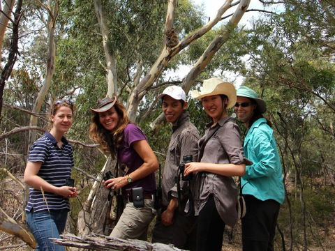 Echidna Walkabout Nature Tours - Attractions Perth 1