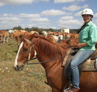 Myella Farm Stay Tours - Attractions Perth