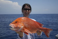 Absolute Ocean Charters
