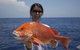 Absolute Ocean Charters - thumb 1