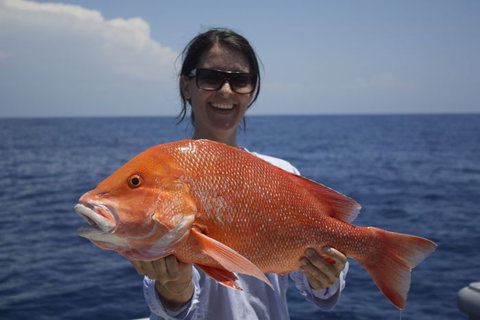Absolute Ocean Charters - Attractions Perth 3