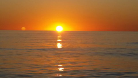 Absolute Ocean Charters - Attractions Perth 14