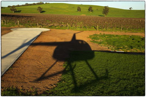 Barossa Helicopters Pty Ltd - Attractions Perth 0