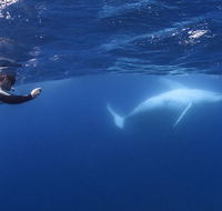 Sunreef Mooloolaba - Attractions Perth