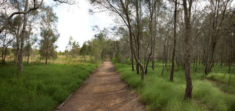 Billai Dhagun Circuit (Place Of She-Oaks) - Attractions Perth 0