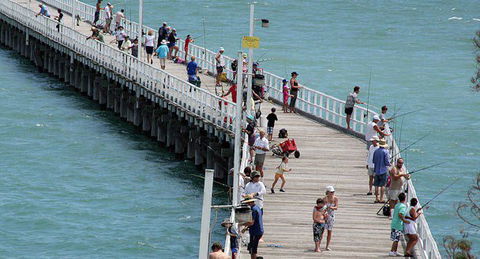 Fraser Coast Amazing Fishing Trails - Attractions Perth 27