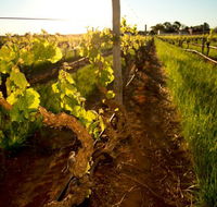 Kaesler Old Vine Vineyard Tour - Attractions Perth