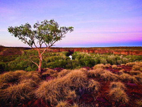 Island Stack, Boodjamulla (Lawn Hill) National Park - Attractions Perth 0