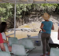 Whitsunday Crocodile Safari - Attractions Perth