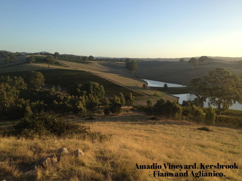La Prova Wines - Attractions Perth 3