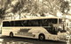Mackay Transit Coaches - thumb 0