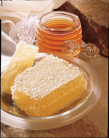 The Honey Place - Attractions Perth 1
