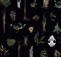 Weswal Gallery - Attractions Perth