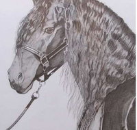 Great Lakes Art Society - Attractions Perth