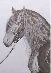Great Lakes Art Society