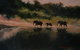Royal Queensland Art Society - thumb 3