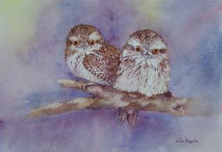 Nada’s Fine Art Gallery - Attractions Perth 1