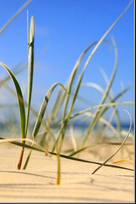Coastal Visions Photography - Attractions Perth 1