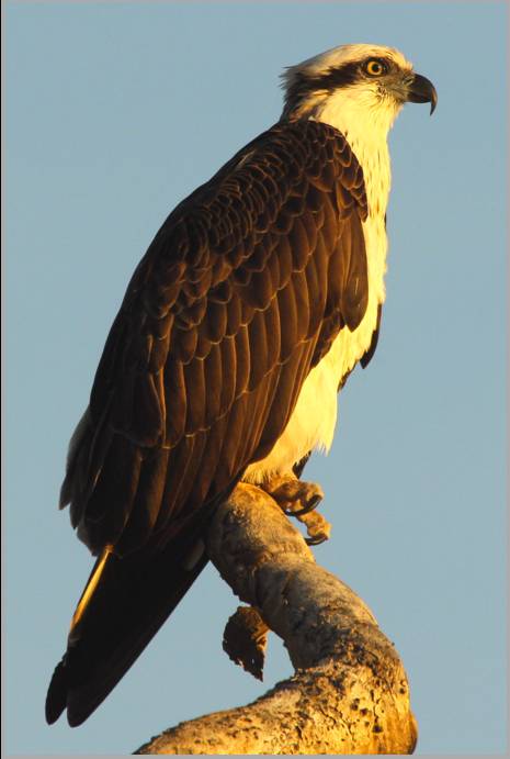 Coastal Visions Photography - Attractions Perth 2