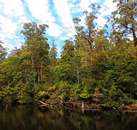 A R Reflections River Cruises - Attractions Perth